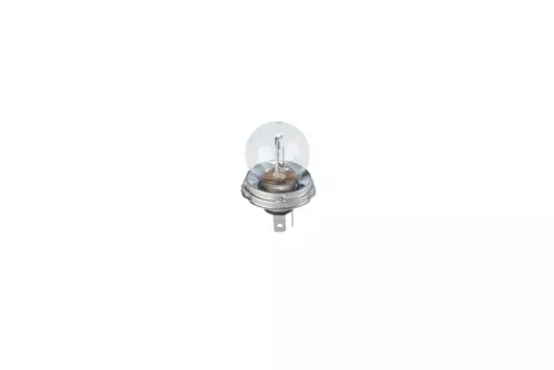BOSCH Bulb, headlight (1987302023)