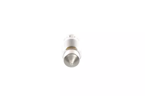 BOSCH Bulb (1 987 302 227)