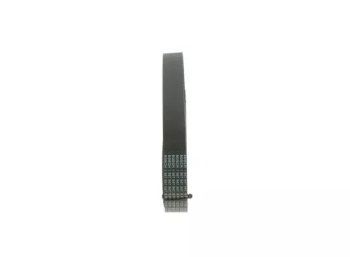 BOSCH V-Ribbed Belt (1 987 947 386)