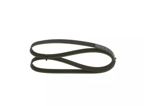 BOSCH V-ribbed Belt (1987947887)