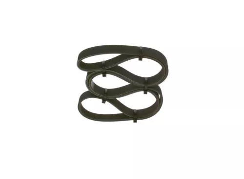BOSCH V-ribbed Belt (1987947949)