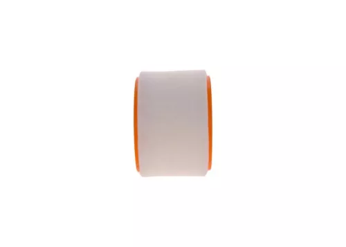 BOSCH Air Filter (F026400289)