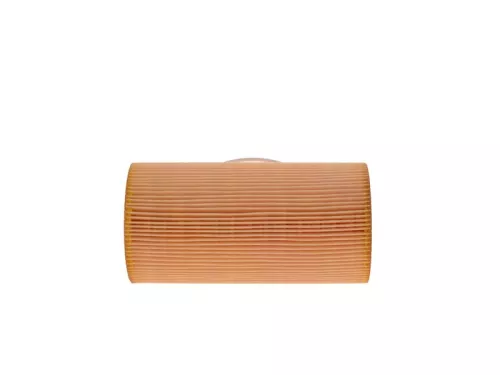 BOSCH Oil Filter (F026407045)