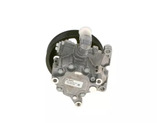 BOSCH Hydraulic Pump, steering (K S00 000 623)
