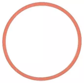 Gasket, intake manifold