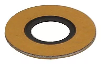 Seal Ring