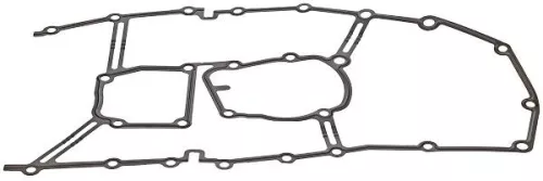 Gasket, timing case