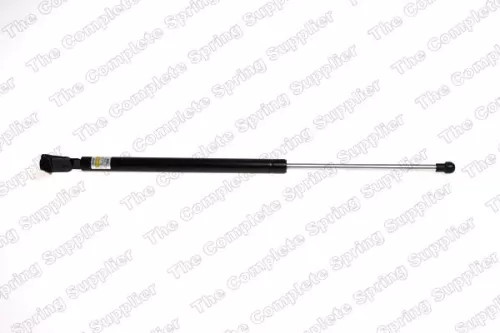 Gas Spring, boot/cargo area