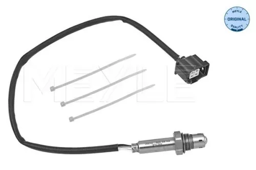 Oxygen Sensor