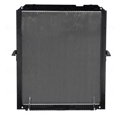 NISSENS Radiator, engine cooling (67176)