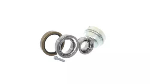 SKF Wheel Bearing Kit (VKBA1498)