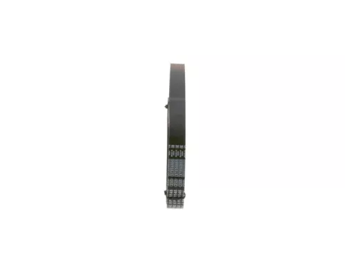 BOSCH V-ribbed Belt (1987947943)