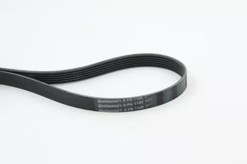 V-ribbed Belt