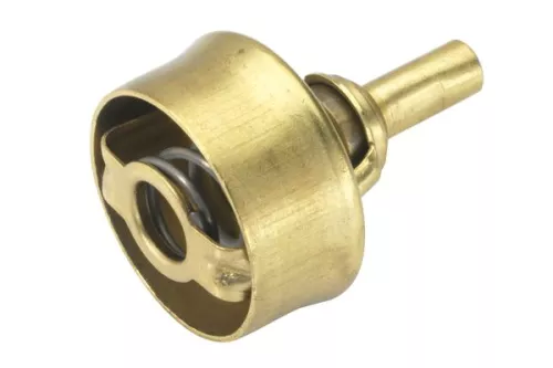 BorgWarner (Wahler) Thermostat, coolant (3029.89)