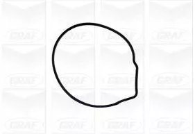 GRAF Water Pump, engine cooling (PA676)