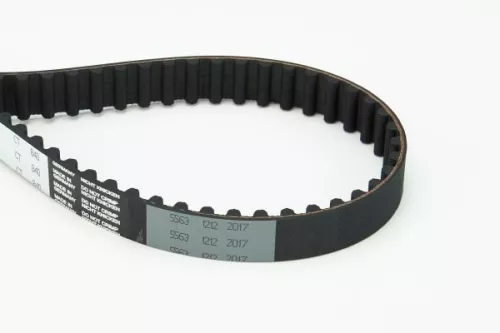 Timing Belt