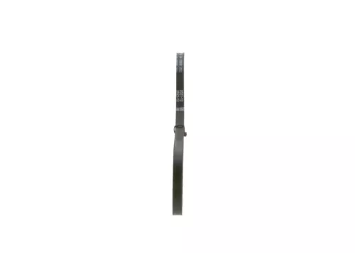 BOSCH V-Belt (1987947630)
