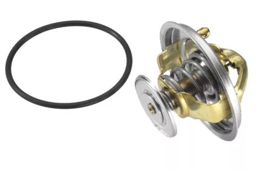 BorgWarner (Wahler) Thermostat, coolant (4516.85D)