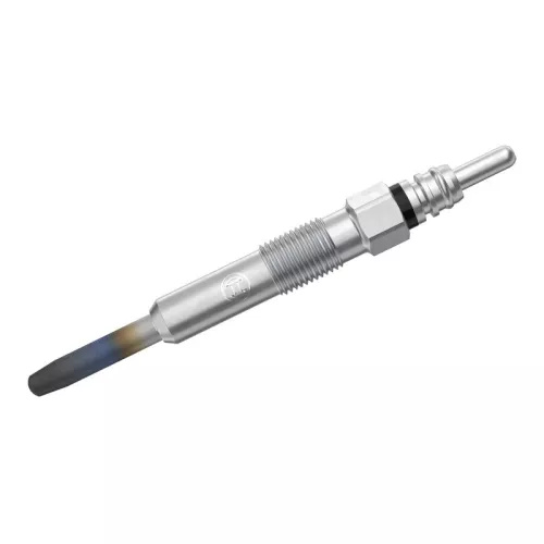 BOSCH Glow Plug (0250202022)