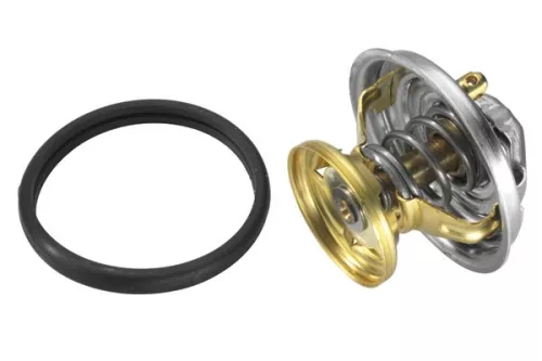 BorgWarner (Wahler) Thermostat, coolant (4176.85D)