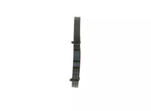 BOSCH V-ribbed Belt (1987947897)