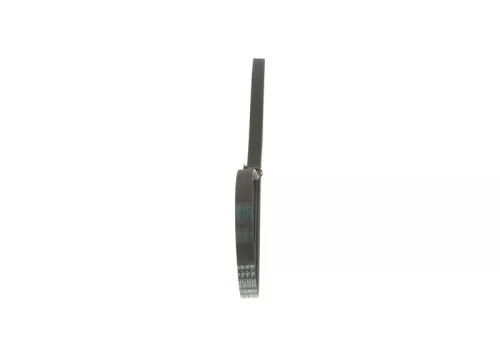 BOSCH V-ribbed Belt (1987948411)