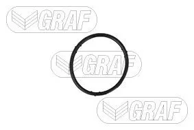 GRAF Water Pump, engine cooling (PA765)