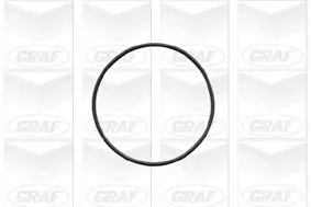 GRAF Water Pump, engine cooling (PA541)
