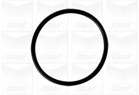 GRAF Water Pump, engine cooling (PA806)