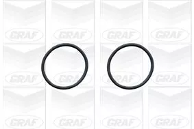 GRAF Water Pump, engine cooling (PA579)