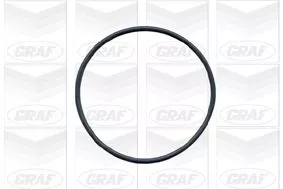 GRAF Water Pump, engine cooling (PA591)