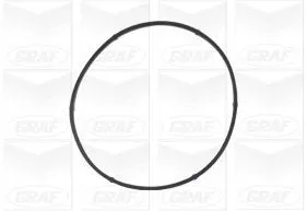 GRAF Water Pump, engine cooling (PA541A)