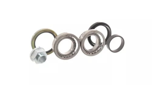 SKF Wheel Bearing Kit (VKBA3901)