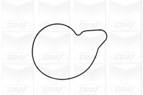 GRAF Water Pump, engine cooling (PA979)