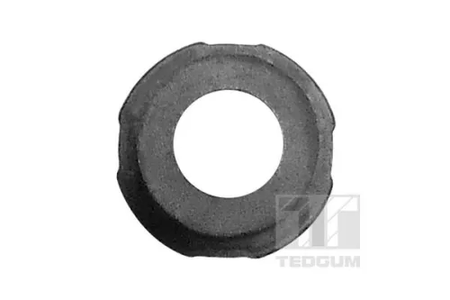 TEDGUM Mounting, leaf spring (00441687)