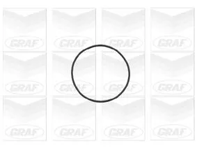 GRAF Water Pump, engine cooling (PA694)