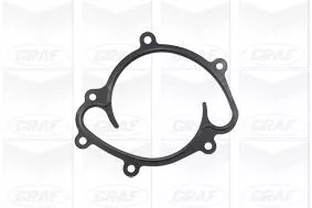 GRAF Water Pump, engine cooling (PA992)