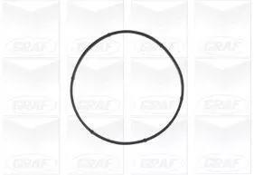 GRAF Water Pump, engine cooling (PA940)