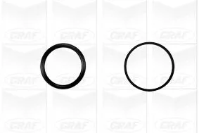 GRAF Water Pump, engine cooling (PA1045)