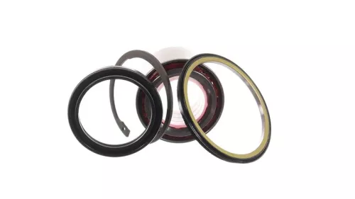 SKF Wheel Bearing Kit (VKBA3219)