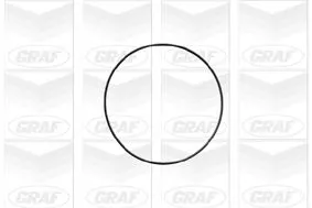GRAF Water Pump, engine cooling (PA614)