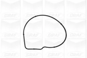 GRAF Water Pump, engine cooling (PA954)