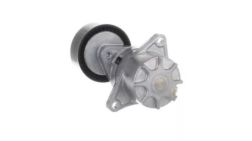 SKF Belt Tensioner, V-ribbed belt (VKM38020)