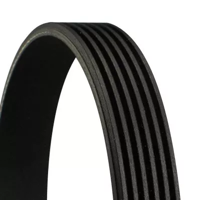 CONTINENTAL CTAM V-ribbed Belt (6PK1019ELAST)