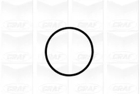 GRAF Water Pump, engine cooling (PA1041)