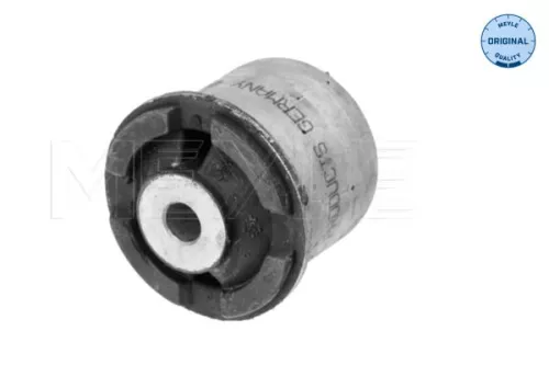 Mounting, control/trailing arm