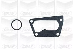 GRAF Water Pump, engine cooling (PA629)