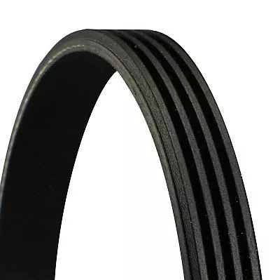 CONTINENTAL CTAM V-ribbed Belt (4PK855)