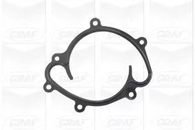 GRAF Water Pump, engine cooling (PA993)