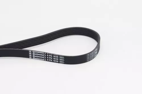 V-ribbed Belt